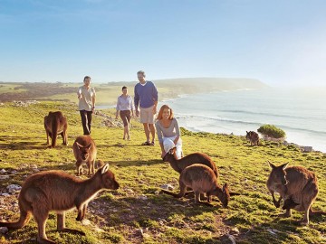 Great Southern ECO Adventure Tour